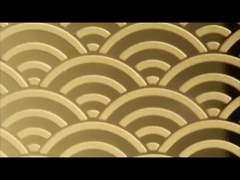 vàng hoa hồng vàng gương 304 khắc tấm thép không gỉ