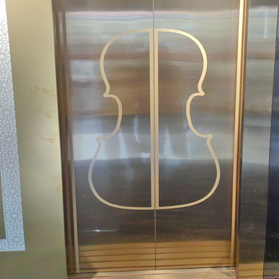 Giá tốt. 304 cao cấp khác nhau mô hình thép không gỉ khắc tấm thang máy cho khách sạn trực tuyến